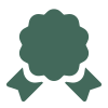 Icons8 certificate 100