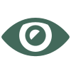 Icons8 low vision 100